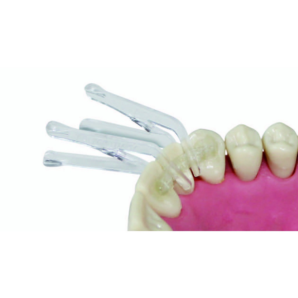 Polydentia Fiber-Splint Ortho Evolution 5979 - F.E. Cardozo