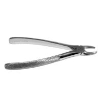 AM Forceps 29