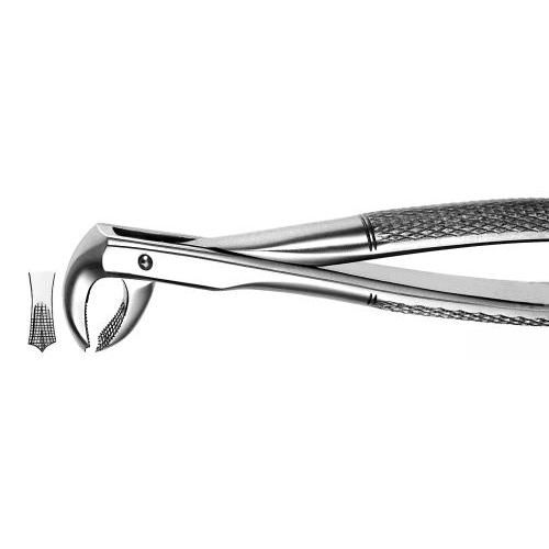 Carl Martin Forceps M2073